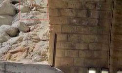 Malatya'da dağ keçileri görüntülendi