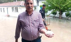 Malatya'da dolu yağışı etkili oldu