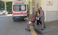 Mantar yiyen 7 kişi zehirlenme şüphesiyle hastaneye kaldırıldı