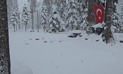 Mayıs ayında 60 santimetre kar yağdı