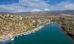 Muğla Büyükşehir Belediyesi doğanın korunması için 288 dava açtı