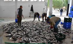 Muğla'nın ihracatı Nisan ayında artış gösterdi