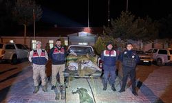 Muradiye'de 630 kilo inci kefali ele geçirildi