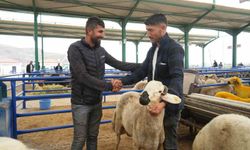 Niğde'de hayvan pazarında bayram bereketi yaşanıyor