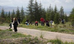 Niğde'de 'Ormanı sev, yeşili koru' mesajı ile sahaya çıkıldı