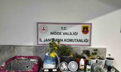 Niğde'de yasadışı kenevir yetiştirenlere operasyon