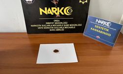 Ordu'da uyuşturucu operasyonu