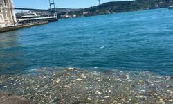 Ortaköy Sahili'nde kirlilik tepki çekti: Vatandaşlardan temizlik çağrısı
