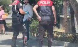 Otomobilin çarpıp kaçtığı kediyi yol kenarına alan polisler takdir topladı