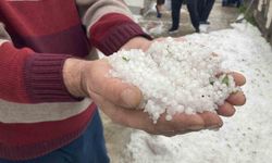 Refahiye'de dolu yağışı etkili oldu