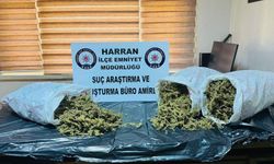 Şanlıurfa'da 8 kilo uyuşturucu ele geçirildi: 1 şahıs tutuklandı