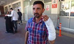 Şanlıurfa'da bayramın ilk gününde 232 acemi kasap hastanelik oldu