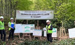 Silvikültür eğitim tatbikatı Yenice'de tamamlandı