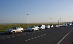 Siverek'te gelincik tarlaları binlerce kişinin uğrak noktası haline geldi