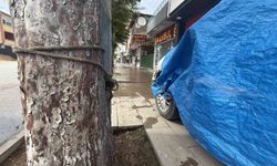 Turhal'da taşkın korkusuyla vatandaş otomobilini ağaca bağladı