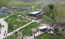 Van'ın doğa harikası bayramda doldu taştı