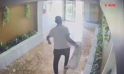 Yavru kedileri kaybolan kadın güvenlik kameralarını izleyince gözlerine inanamadı