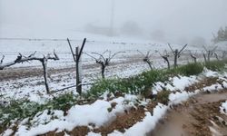 Yüksek kesimlerde ani hava değişimi üreticiyi zorladı