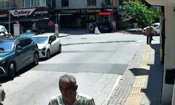 150 yıllık çınar devrildi