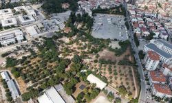 Aliberti Köşkü kent parkına dönüşüyor