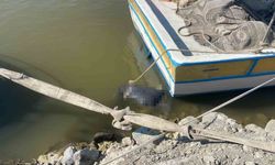Asi Nehri'nde erkek cesedi bulundu