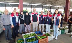 Aydın inciri için denetimler sürüyor