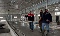 Aydıntepe'deki hayvancılık işletmelerinde kapasite değerlendirmesi yapılıyor