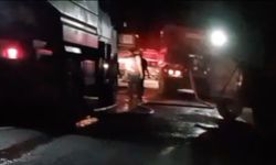 Ayvalık'ta fıstık çamı arazisinde çıkan yangın ormana sıçradı
