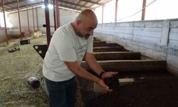 Bahçesinde ürettiği solucan gübresi gelir kaynağı oldu