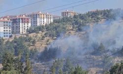 Balıkesir'de otluk ve koruluk alanda yangın