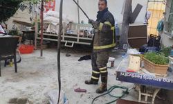 Batman'da evin bahçesine giren yılan paniğe neden oldu