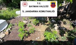 Batman'da uyuşturucu ve kaçak ürün operasyonu