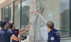 Bursa'da iş yerine giren yılan paniğe neden oldu