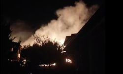 Cunda Adası'ndaki orman yangını kontrol altına alındı