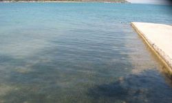 Didim'in deniz suyu kalitesi dikkat çekti