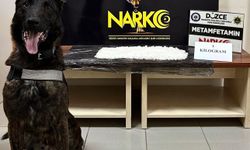 Düzce'de 1 kilogram metamfetamin ele geçirildi, 1 kişi tutuklandı