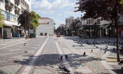 Edirne sıcaktan kavruldu: Cadde ve sokaklar boş kaldı
