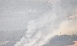 Elektrik tellerine çarpan karga yangına sebep oldu