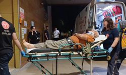 Erik toplamak için çıktığı ağaçtan düşerek yaralandı