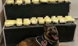 Erzincan'da 20,1 kilogram metamfetamin ele geçirildi