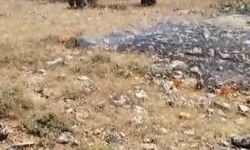 Gercüş'te korkutan yangın: Köyün geçim kaynağı ekili alanlar son anda kurtarıldı