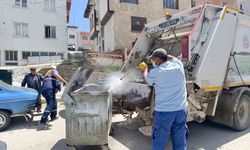 Hisarcık'ta çöp konteynerlerinde temizlik ve dezenfeksiyon çalışması