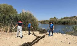 İzmir'de yasa dışı avcılıkla mücadele: 50 metrelik ağ sudan çıkarıldı