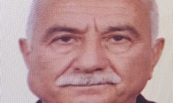 Kahramanmaraş'ta tarlaya yıldırım düştü: 1 yaralı