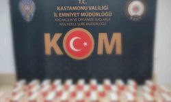 Kastamonu'da kaçakçılık operasyonu: 2 gözaltı