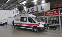 Kız alıp verme husumeti kanlı bitti: Baba ve oğlu öldürüldü