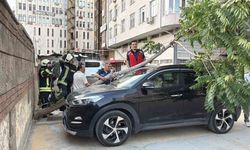 Kökü duvarın altında olan ağaç aracın üzerine devrildi