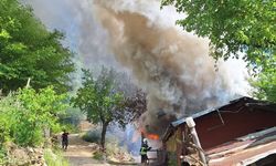 Kozan'da yayla evindeki yangın ormana sıçradı, ekipler müdahale ediyor