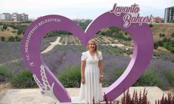 Merkezefendi'nin mor güzelliği lavanta bahçesi yoğun ilgi görüyor
