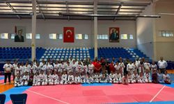 Minikler Taekwondo İl Seçmesi yapıldı